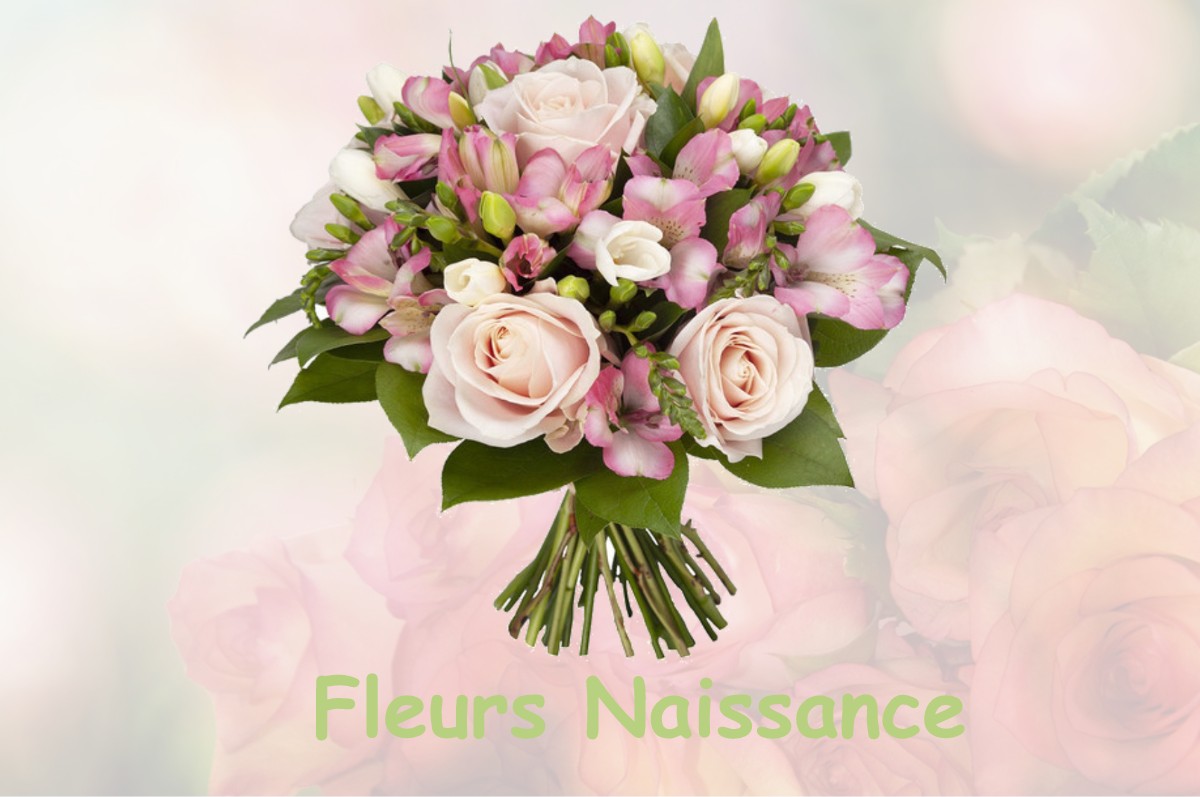 fleurs naissance TILLY-SUR-MEUSE