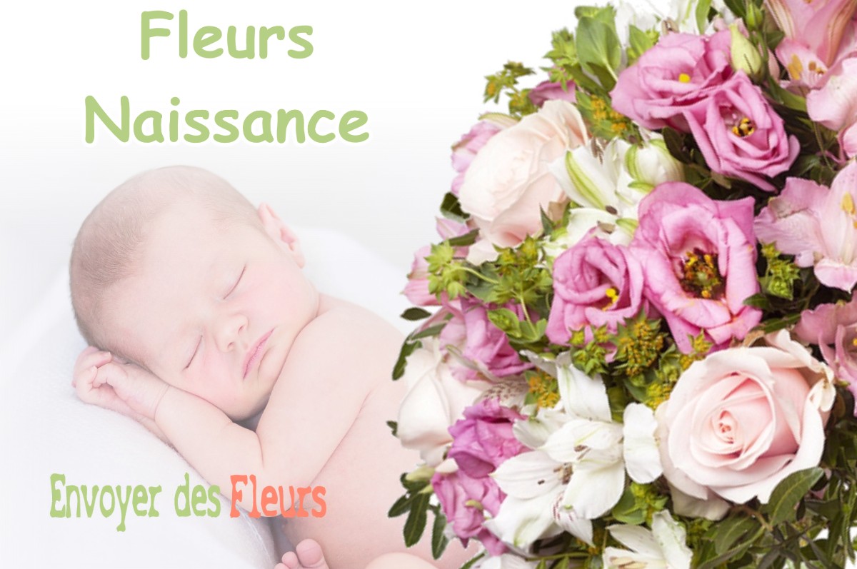 lIVRAISON FLEURS NAISSANCE à TILLY-SUR-MEUSE